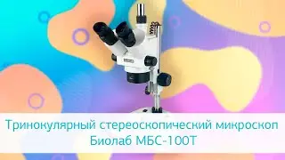 Тринокулярный стереоскопический микроскоп Биолаб МБС-100Т