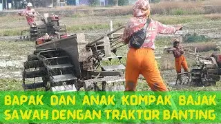 Bapak dan anak kompak bajak sawah dengan traktor banting