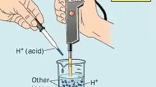 How to make a Buffer Solution