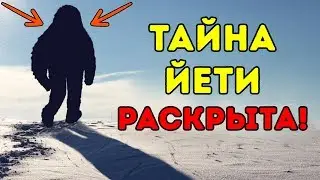 Ученые Наконец Выяснили, Кто Такой Йети