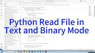 How to Read a File in Text and Binary Mode in Python