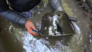 River full of finds, excavations in the Iron River Yuri Gagarin