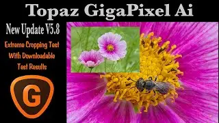 TOPAZ GIGAPIXEL AI: New Update V5.8 (Extreme Cropping Test) With Downloadable Test Results...