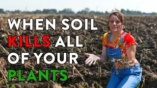 Same Bed But WAY Different Results? 3 Steps To Making Your Soil Better