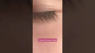 #eyecolor #lashes