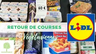 RETOUR de COURSES VÉGÉ PETIT BUDGET chez LIDL | LUNDI VERT n°299