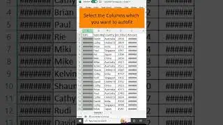 Auto Fit Column in Excel || Automatic adjust cell column width length