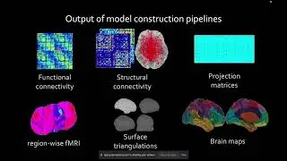 Inferring Mechanisms through brain network modeling - Dr. Michael Schirner