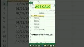 auto age calculator in excel #short #shorts #Excel #exceltips #excelworld #exceltutorial #data