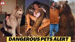 10 Risky Pets That Pose Serious Dangers