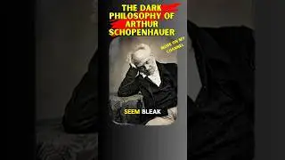 Schopenhauer Explained - Dark Side of Philosophy.