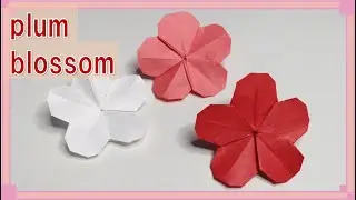 【折り紙　花】きれいな「梅の花」の折り方！1枚折り / origami plum blossom tutorial