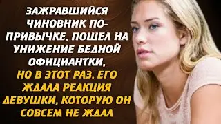 Зажравшийся чиновник по-привычке, пошел на унижение бедной официантки, но в этот раз, его ждала...