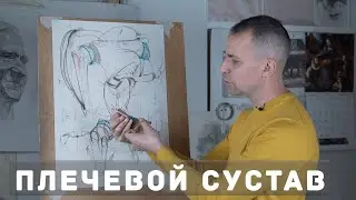 Плечевой сустав - А. Рыжкин