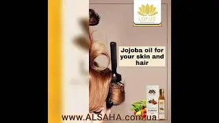 Масло Жожоба из Египта Lotus TNG Jojoba Seed Oil в Киеве и Украине от интернет магазина АльСаха.