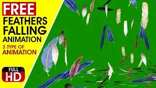 FEATHER FALLING DOWN / FLYING IN GREEN SCREEN