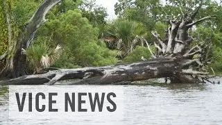 “You Cant Restore Coastal Louisiana” (Extra Scene from Oil and Water)