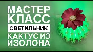 Светильник кактус из изолона/ DIY Cactus lamp