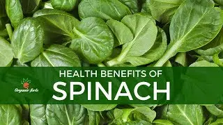 Top 15 Health Benefits Of Spinach | Spinach Nutrition Facts