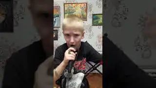 Сектор Газа - колхозный панк, поёт Макар Петров.