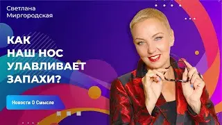 Как наш нос улавливает запахи? | Обоняние – дар находить нужное и различное