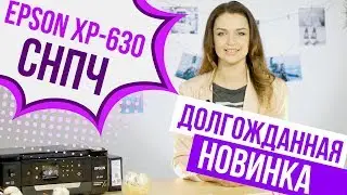 СНПЧ на Epson XP-630  | Пополнение в рядах бесчиповых принтеров