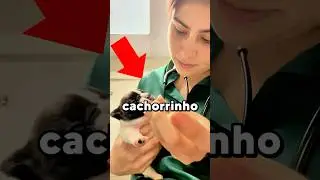 Filhote de Cão Gritando (Original x Meme) #meme #viral #trend #cachorro