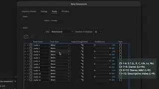 How to export a Multitrack audio output in Premiere Pro