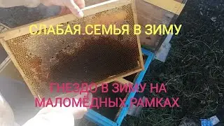 Сборка гнезда слабых отводков на маломедных рамках.