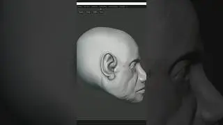 Crease Blender brush | Sculpting in Blender 