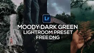 MOODY DARK GREEN LIGHTROOM PRESET | MOODY LIGHTROOM PRESET | FREE DNG | FREE MOODY LIGHTROOM PRESET