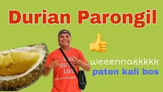 Durian Parongil Terbaik || Durian Sidikalang