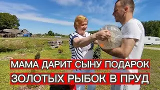 МАМА ДАРИТ СЫНУ ПОДАРОК ЗОЛОТЫХ РЫБОК В ПРУД