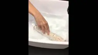 Mushroom Material Flotation Test