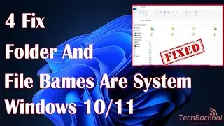 How to fix folder and file names not showing in Windows 11/10