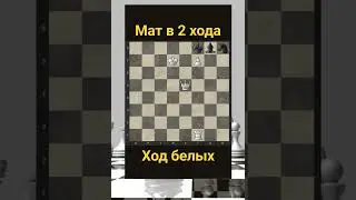 Задача 43 Telegram: Albinachess #chess #шахматы