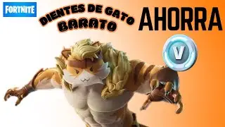 Lote Dientes de Gato BARATO 200 a 300 Pavos FORTNITE