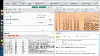 Burp Suite 2 Professional: Automated Scanning