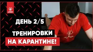 На карантине! День 2/5. Программа тренировок дома. Фитнес дома для начинающих