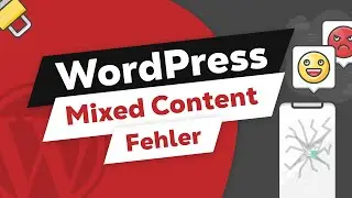 Mixed Content Fehler beheben (SSL/HTTPS Problem)