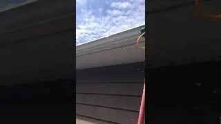 ECO friendly Gutter Scrubbing