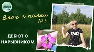 Влог с полей №5: дебют с нарывником / Насекомые Беларуси