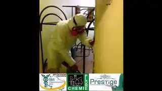 Уничтожение тараканов методом 