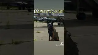 Малинка «Арма» все тяготы службы , ожидание-реальность )