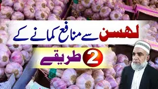 Two ways to earn profit from Garlic crop || Crop Reformer