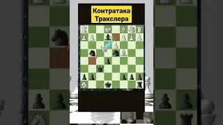 Telegram: Albinachess #chess #шахматы #chorts