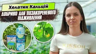 Хелатин Кальцій - добриво для позакореневого підживлення. Важливість кальцію для рослин.