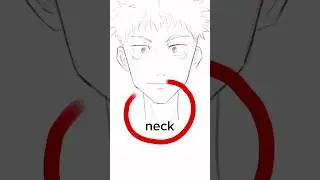 HOW TO EASILY DRAW THE NECK🙂‍↕️‼️-Beginner tutuorial #art #arttips #arttutorial #drawing #anime