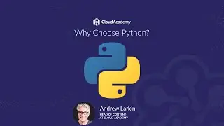 Why Choose Python Over Other Programming Languages? - Programming Training