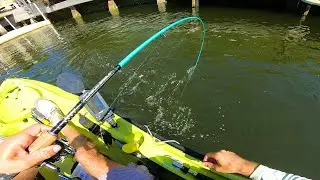 Dock Fishing Tiny Canals for What ever Bites